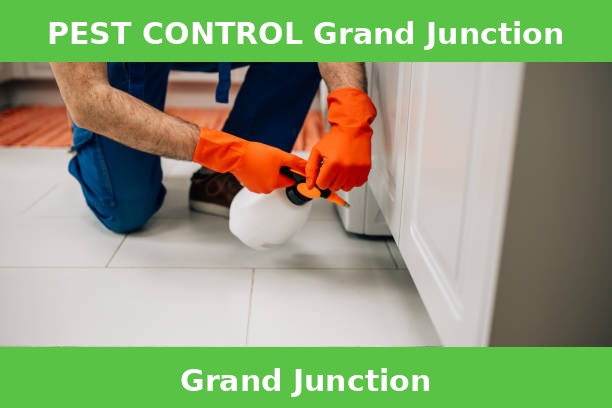 PEST CONTROL Grand Junction